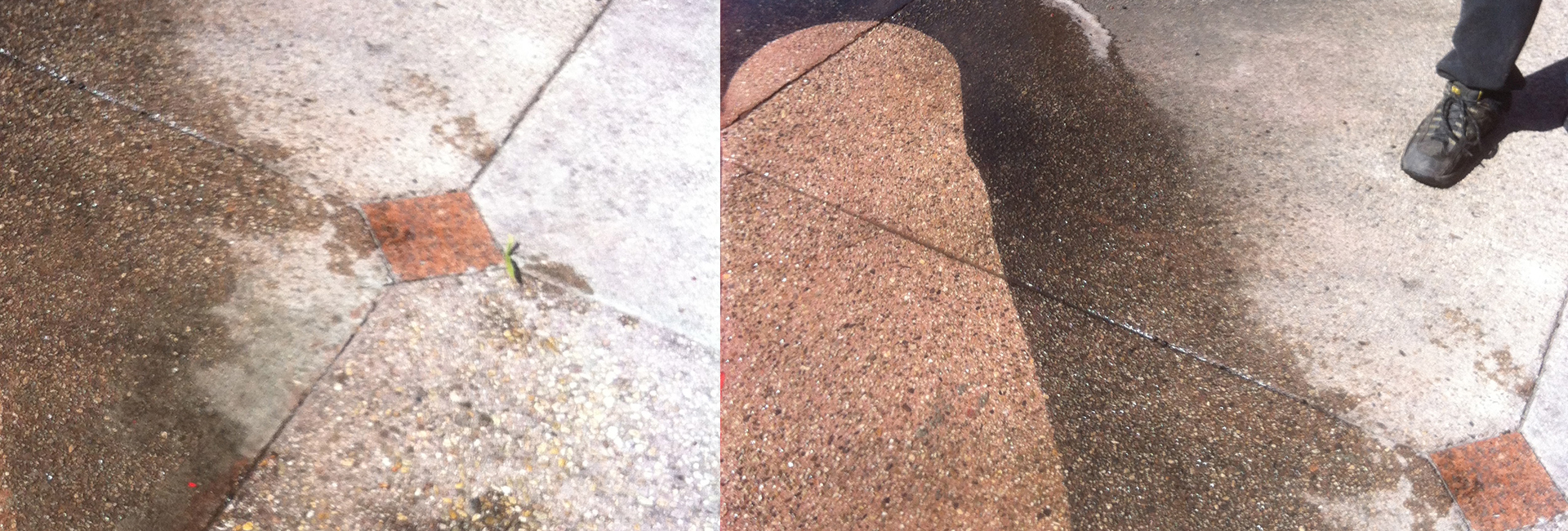  Commercial Concrete Cleaning & Maintenance