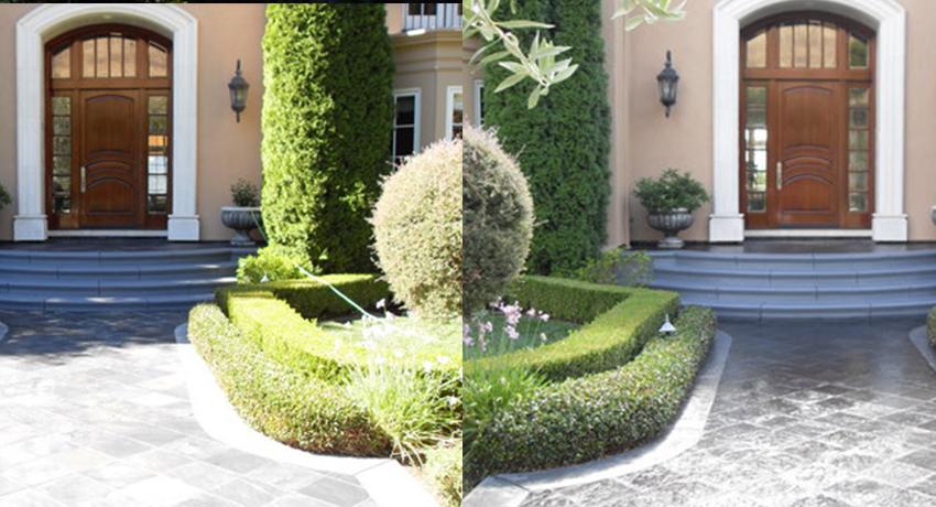 Before & After Front